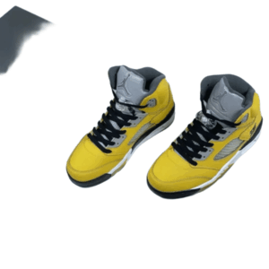 Air Jordan 5 "Tokyo T23"