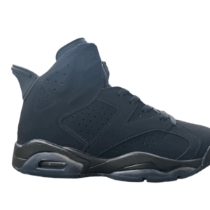 Jordan 6 "Triple Black"